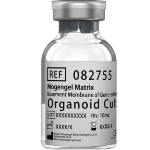 Ovarian Cancer Organoid Kit