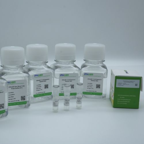 IPHASE Human Peripheral Blood CD34+ Hemopoietic Stem Cells,frozen