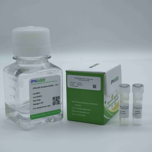 IPHASE Human Spleen Mononuclear Cells Isolation Kit