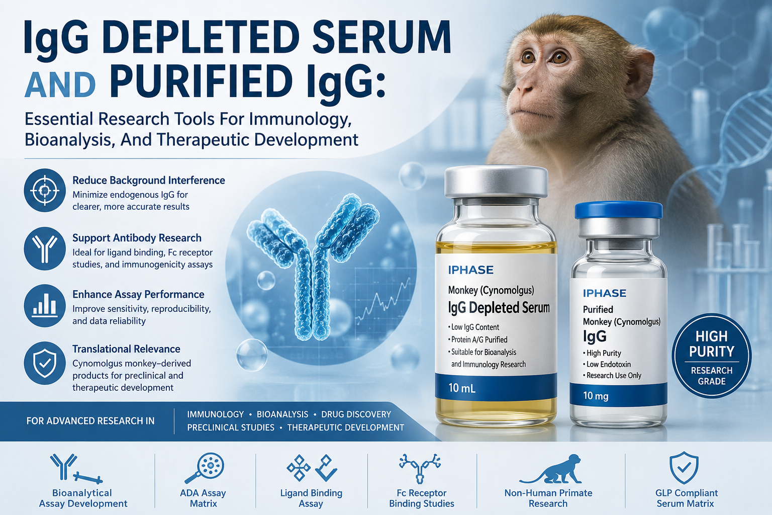 IgG Depleted Serum And Purified IgG: Essential Research Tools For Immunology Development