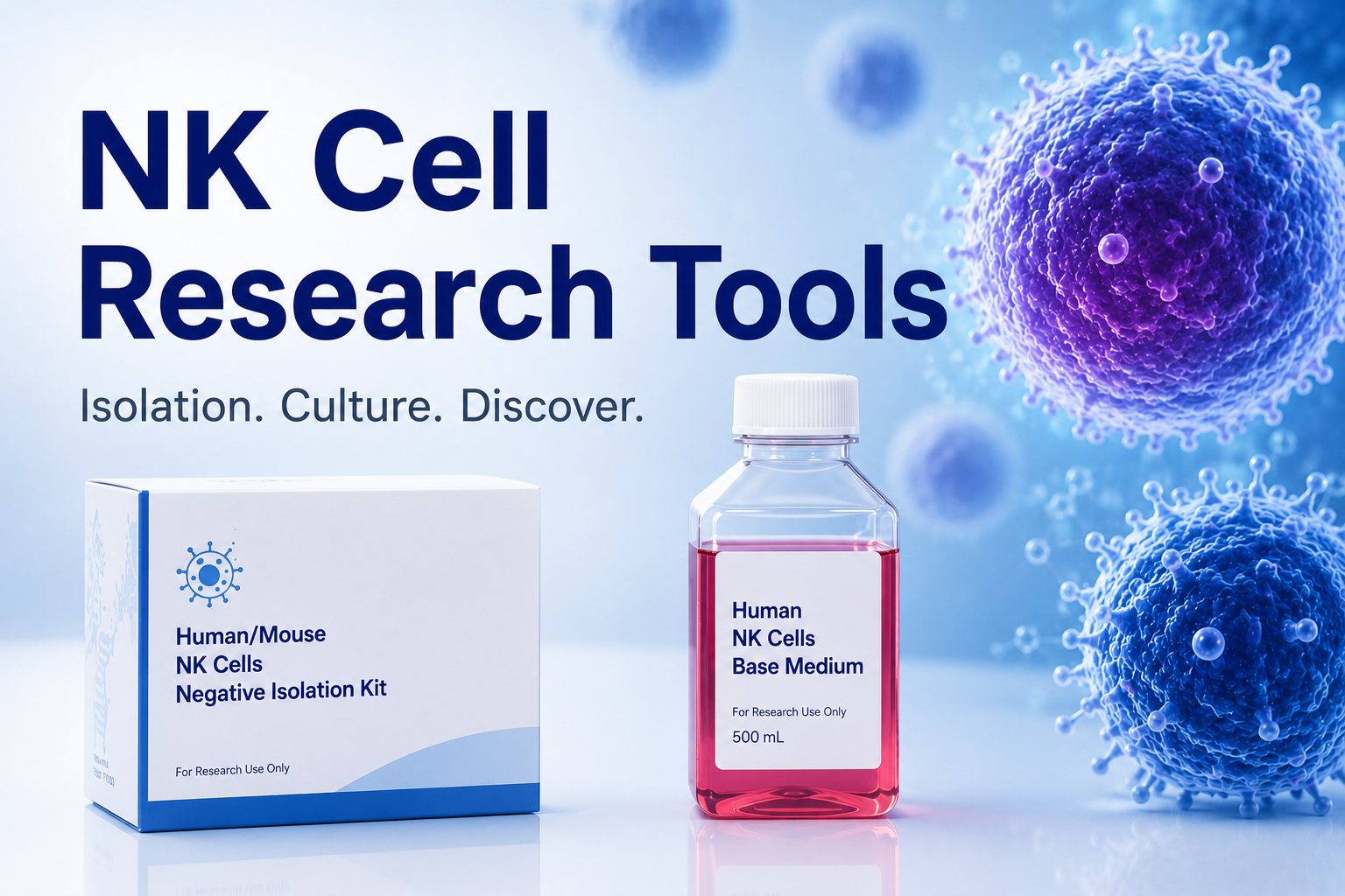 Human/Mouse NK Cells Negative Isolation Kit, NK Cell Kits and Human NK Cells Base Medium for NK Cell Research