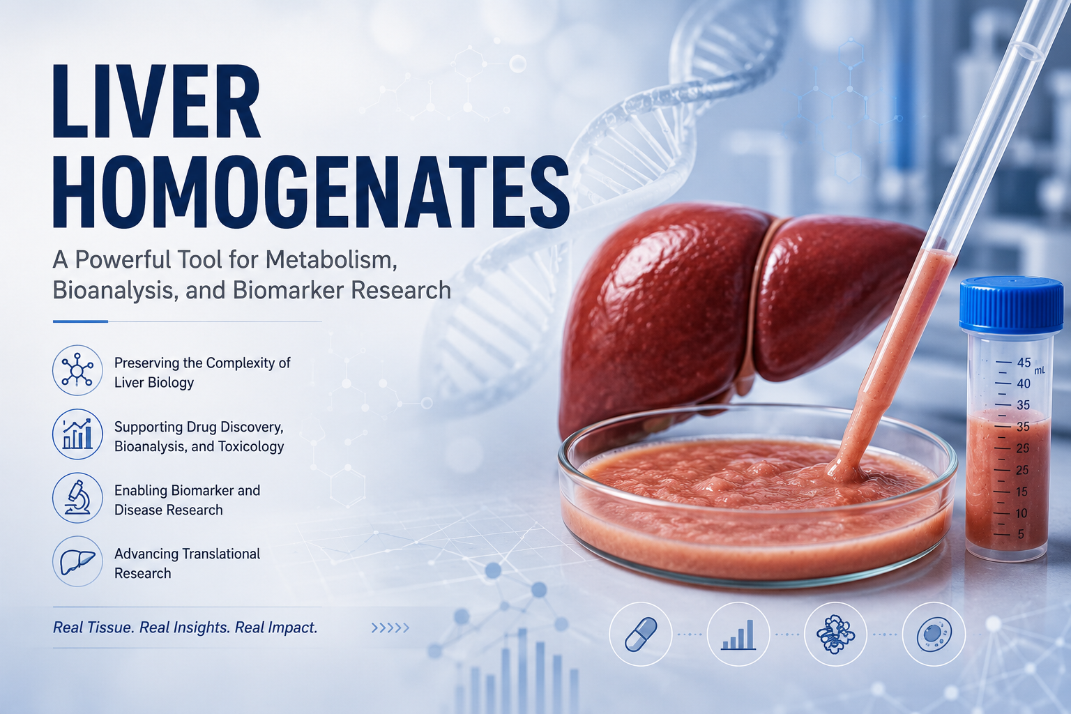 Liver Homogenates in Biomedical Research