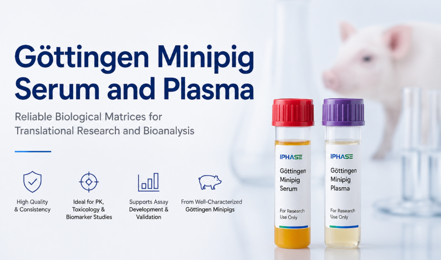 Gottingen Minipig Serum and Plasma: Valuable Biological Matrices for Translational Research and Bioanalysis